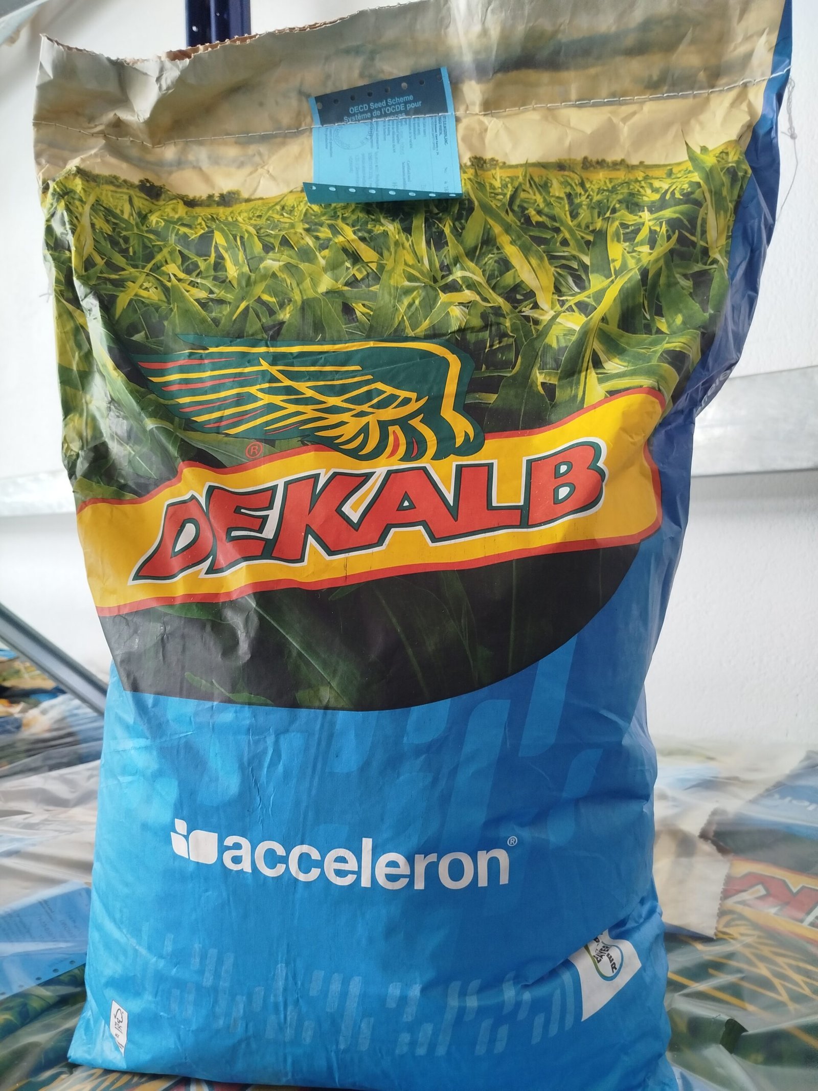 IMG_20260115_122738_1 DKC 5075